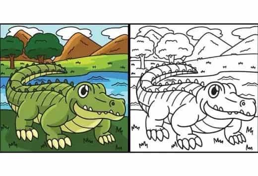 Alligator Coloring Book