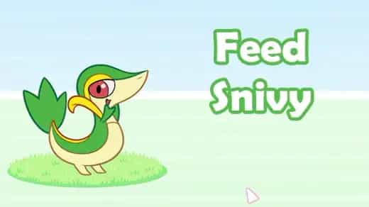 Feed Snivy