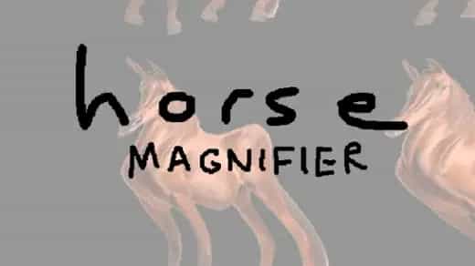 Horse Magnifier