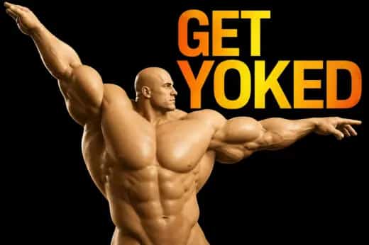 Get Yoked