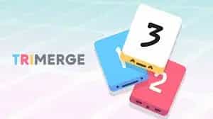 TriMerge