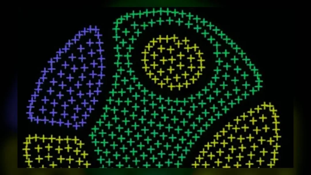 Coloruid 2 - Official Feature