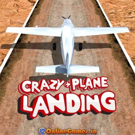 Crazy Plane Landing