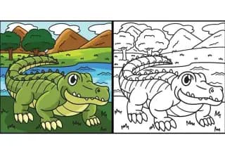 Alligator Coloring Book