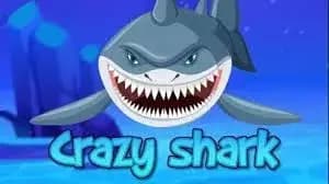 Crazy Shark