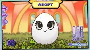 Egg