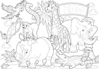 Zoo Animals: Coloring Book