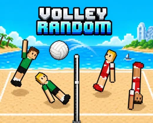 Volleyball random Description Image