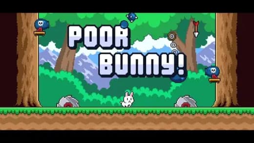 Poor Bunny