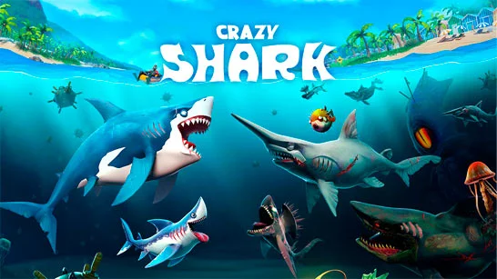Crazy Shark