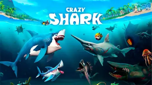 Crazy Shark