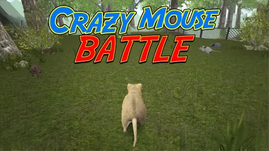 Crazy Mouse Battle Description Image